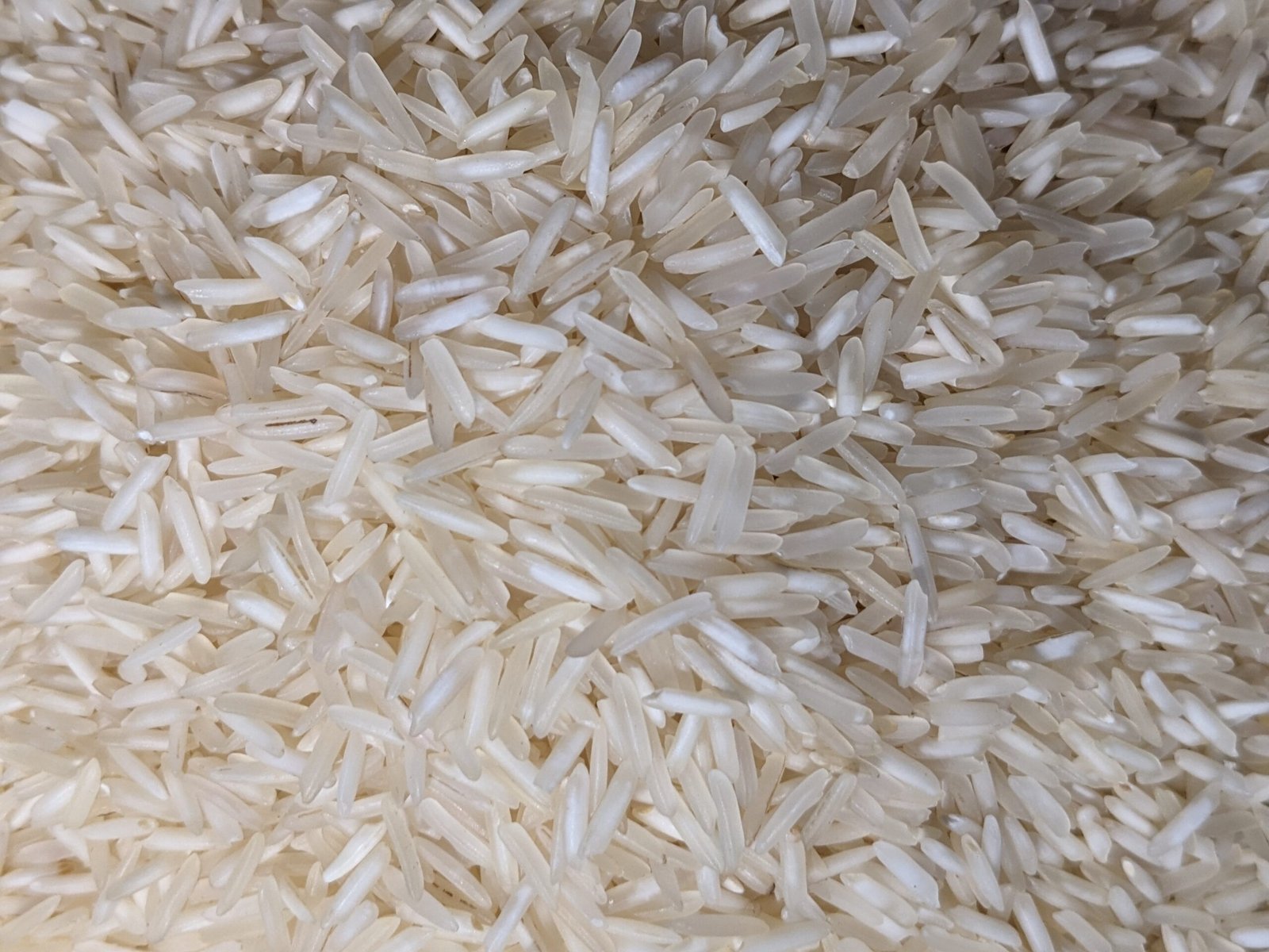 25kg Basmati Premium - Image 2